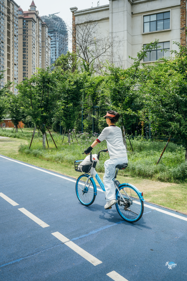炒股配资官网查询 这个小程序给每位武汉市民开了“碳账户” 骑车乘地铁等绿色行为可以赚钱变现